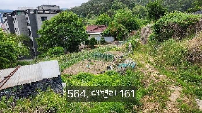 부산광역시 기장군 기장읍 대변리 161 답 경매 사진 20