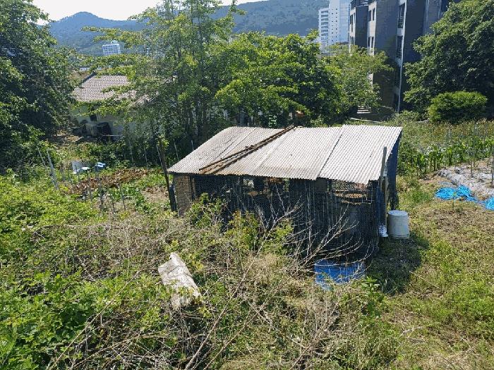 부산광역시 기장군 기장읍 대변리 161 답 경매 사진 5