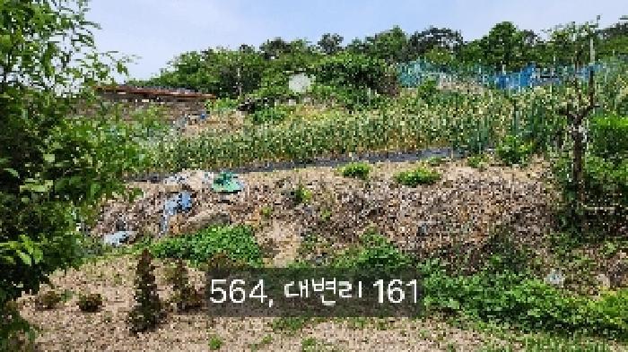 부산광역시 기장군 기장읍 대변리 162 답 경매 사진 11