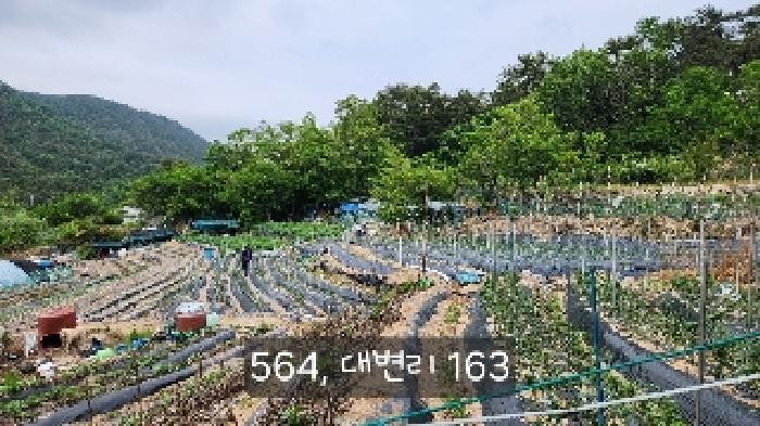부산광역시 기장군 기장읍 대변리 162 답 경매 사진 15