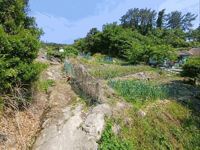 부산광역시 기장군 기장읍 대변리 162 답 경매 사진 8