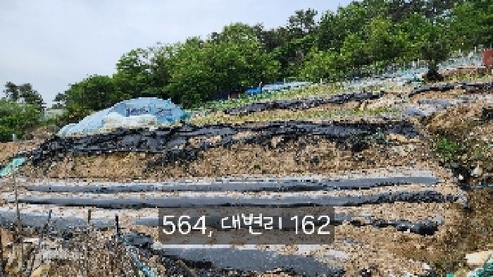 부산광역시 기장군 기장읍 대변리 162 답 경매 사진 9