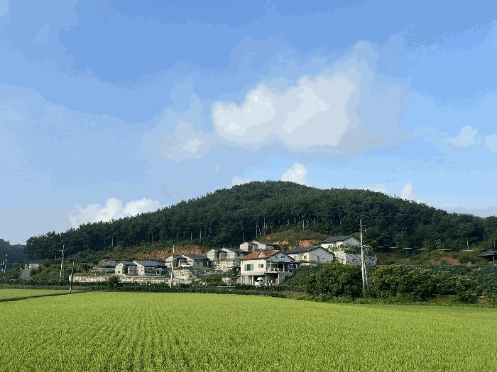 충청남도 서산시 운산면 고산리 253-18 주택 경매 사진 9