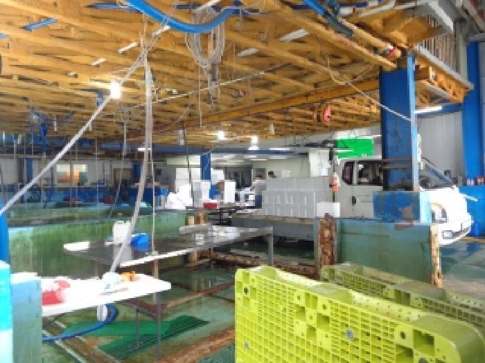 충청남도 태안군 근흥면 신진도리 526-3 창고 경매 사진 13