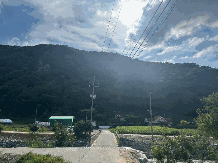충청남도 서산시 임야
