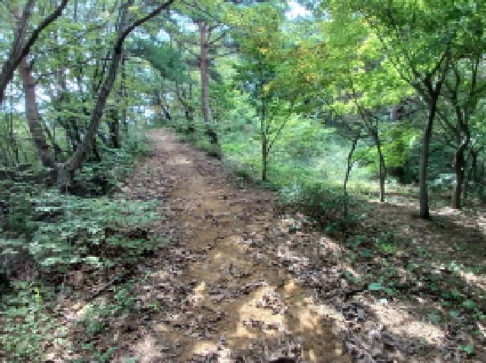 충청남도 서산시 운산면 고풍리 산91-6 임야 경매 사진 10