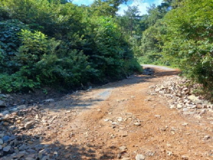 충청남도 서산시 운산면 고풍리 산91-6 임야 경매 사진 12