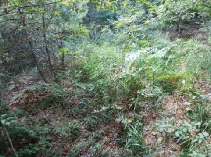충청남도 서산시 운산면 고풍리 산91-6 임야 경매 사진 14