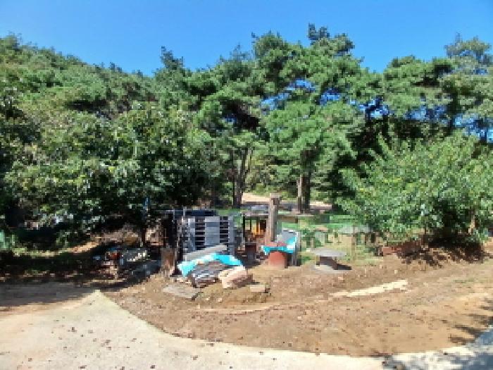 충청남도 서산시 운산면 고풍리 산91-6 임야 경매 사진 17