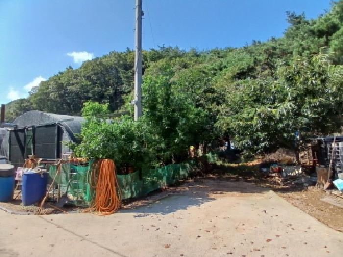 충청남도 서산시 운산면 고풍리 산91-6 임야 경매 사진 20