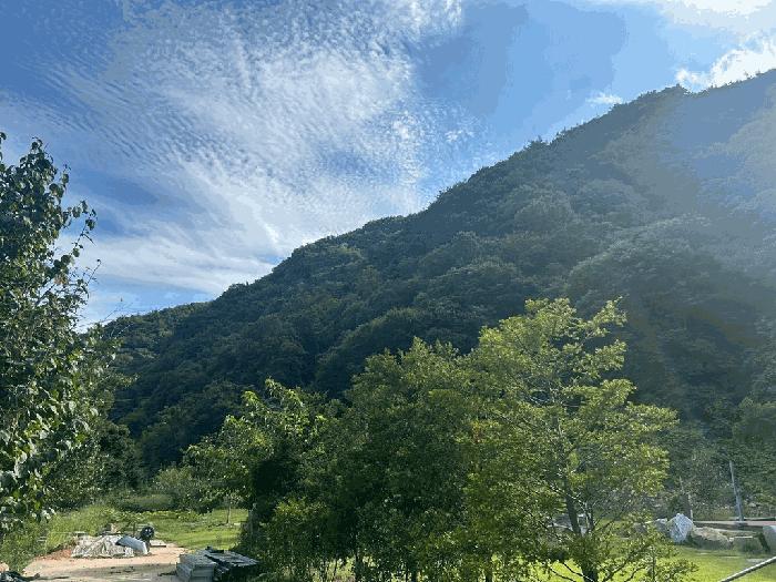충청남도 서산시 운산면 고풍리 산91-6 임야 경매 사진 3