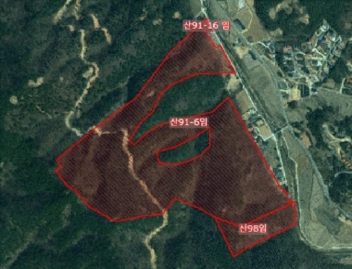 충청남도 서산시 운산면 고풍리 산91-6 임야 경매 사진 4