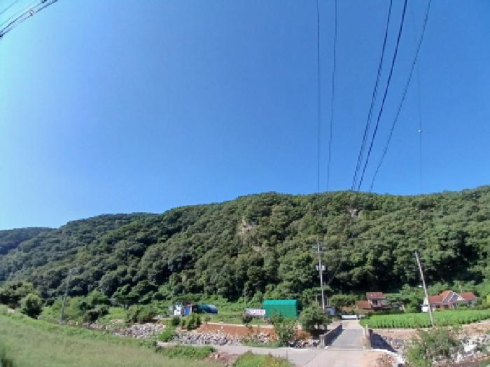 충청남도 서산시 운산면 고풍리 산91-6 임야 경매 사진 6