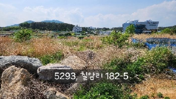 부산광역시 기장군 일광읍 신평리 243-7 전 경매 사진 8