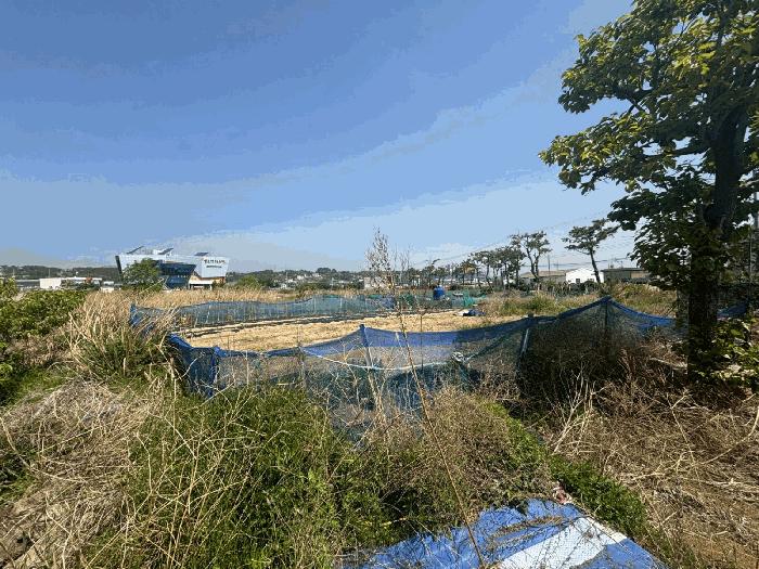 부산광역시 기장군 일광읍 칠암리 182-5 답 경매 사진 1