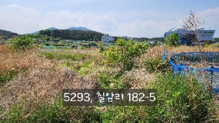 부산광역시 기장군 일광읍 칠암리 182-5 답 경매 사진 7