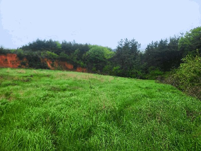 충청남도 태안군 원북면 청산리 259-35 전 경매 사진 1