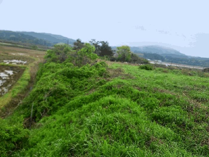 충청남도 태안군 원북면 청산리 259-35 전 경매 사진 11