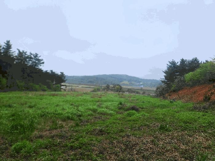 충청남도 태안군 원북면 청산리 259-35 전 경매 사진 14