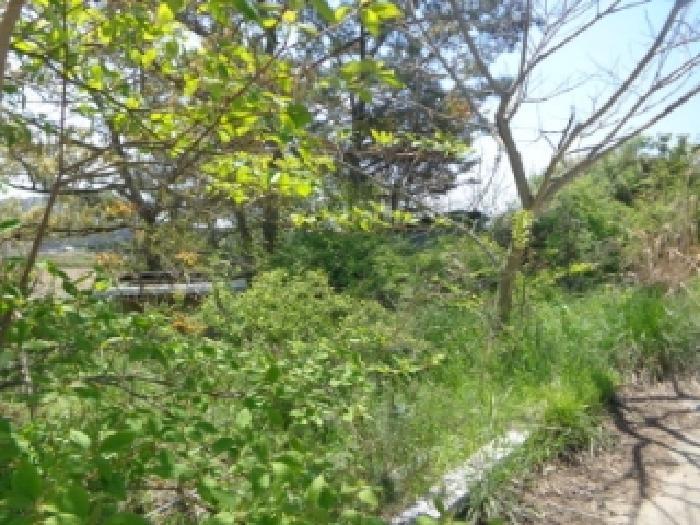 충청남도 태안군 원북면 청산리 259-35 전 경매 사진 15