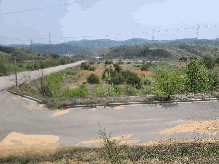 충청남도 서산시 운산면 고산리 423-19 임야 경매 사진 1