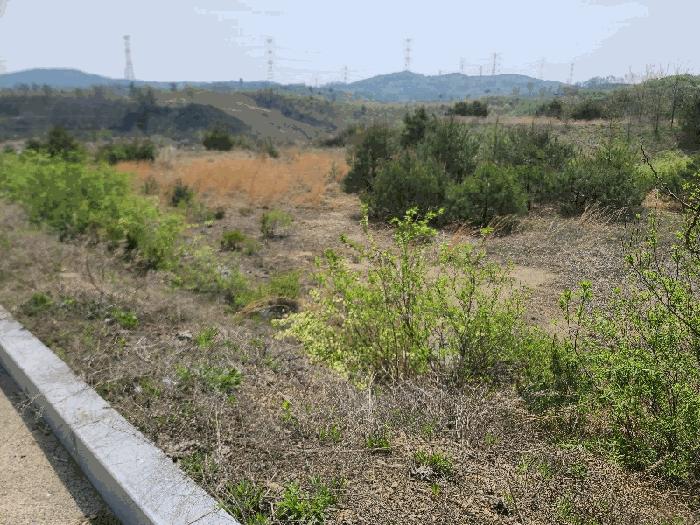 충청남도 서산시 운산면 고산리 423-19 임야 경매 사진 2