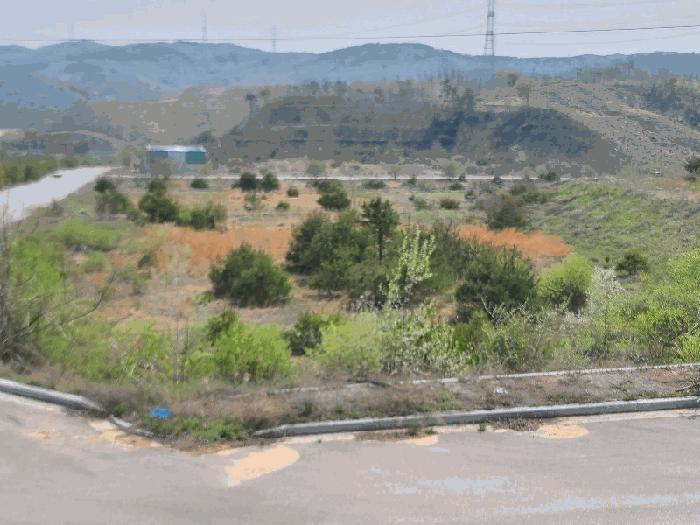충청남도 서산시 운산면 고산리 423-19 임야 경매 사진 3