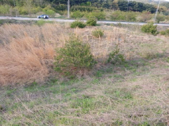 충청남도 서산시 운산면 고산리 423-19 임야 경매 사진 7