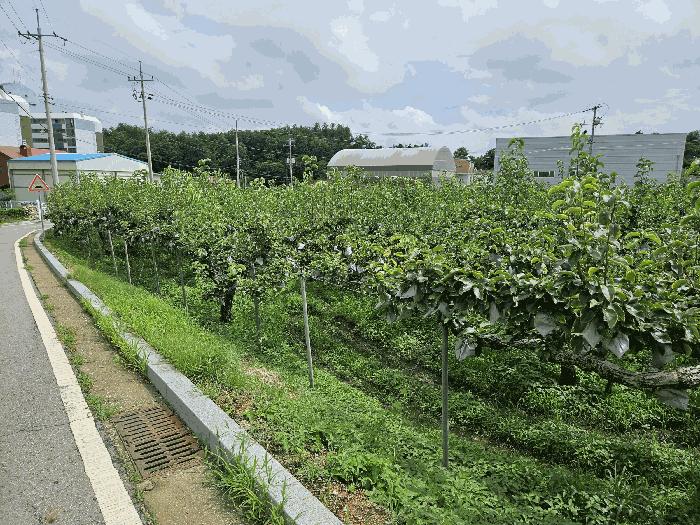 충청남도 천안시 서북구 성환읍 율금리 479 전 경매 사진 7