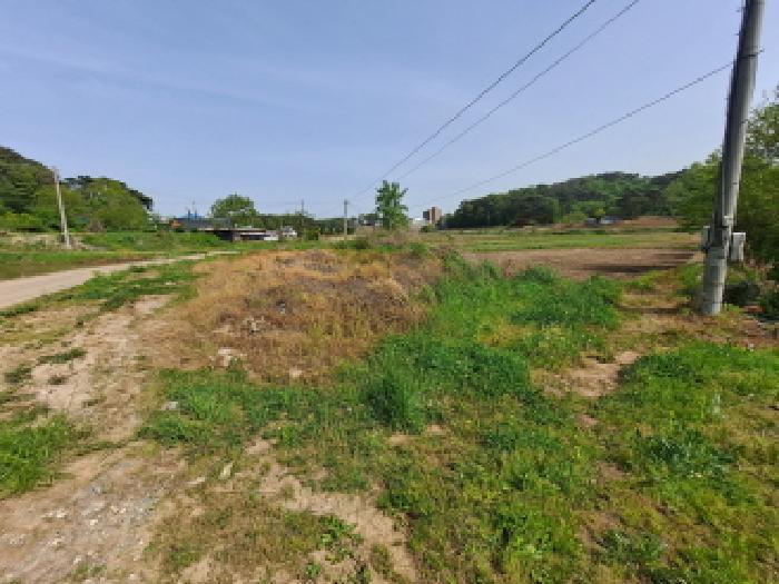 충청남도 당진시 송악읍 월곡리 57-1 답 경매 사진 14