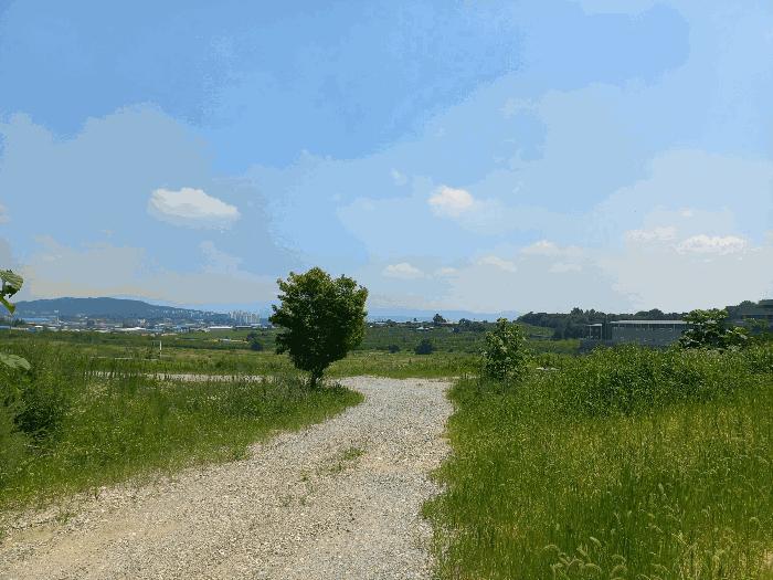 충청남도 천안시 성환읍 송덕리 196-10 과수원 경매 사진 1