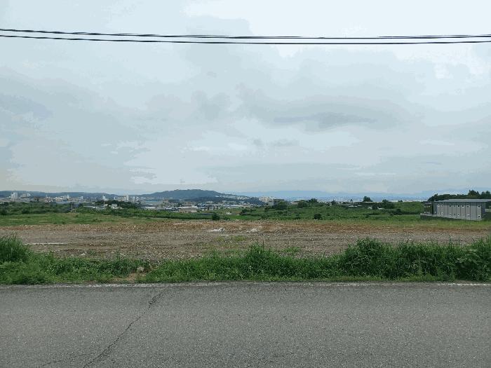 충청남도 천안시 성환읍 송덕리 196-10 과수원 경매 사진 12
