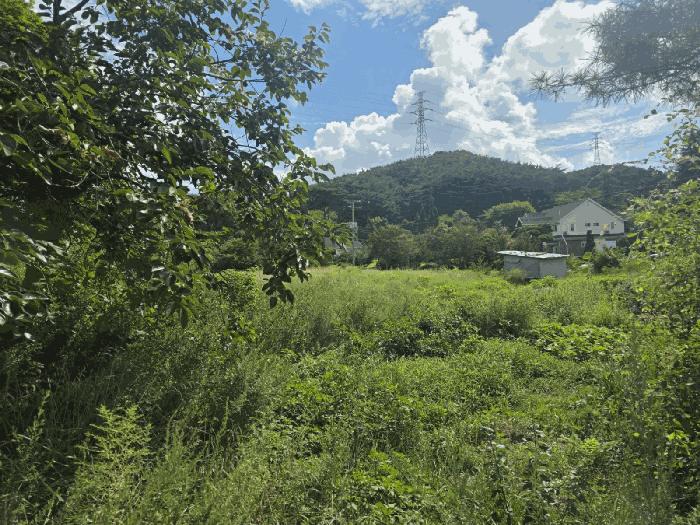 충청남도 당진시 석문면 교로리 794-1 답 경매 사진 4
