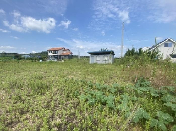 충청남도 당진시 신평면 상오리 337-6 전 경매 사진 19