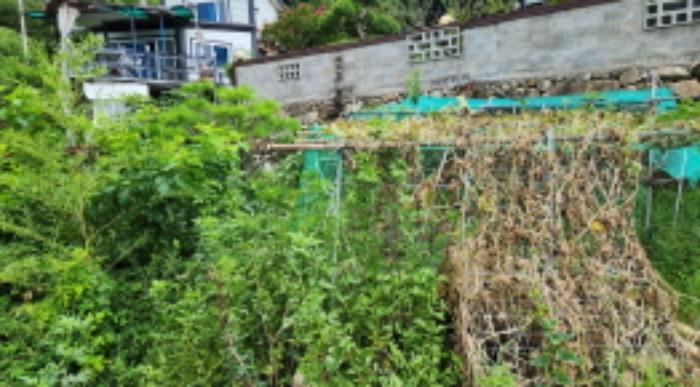 울산광역시 울주군 웅촌면 고연리 1655-7 답 경매 사진 10