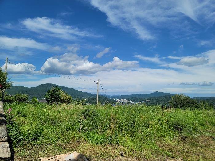 울산광역시 울주군 웅촌면 고연리 1655-7 답 경매 사진 2