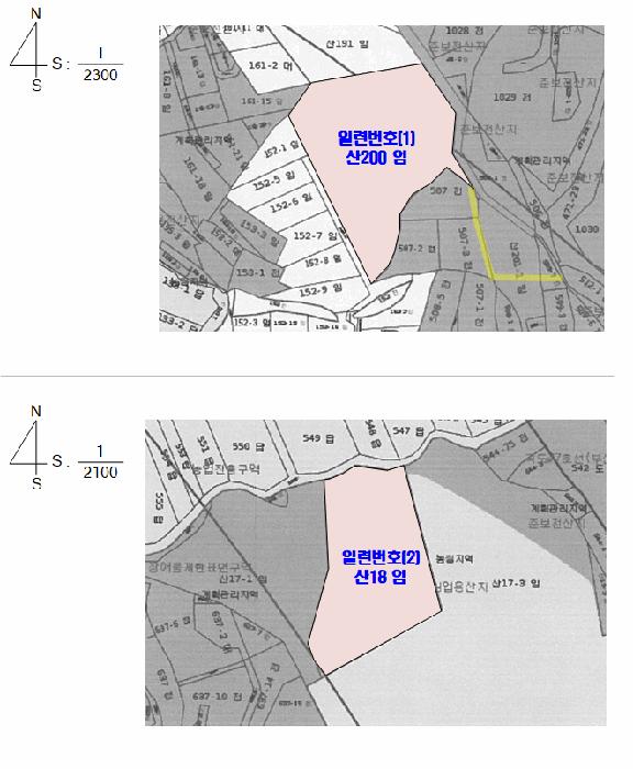 충청남도 태안군 남면 신온리 산200 임야 경매 사진 19