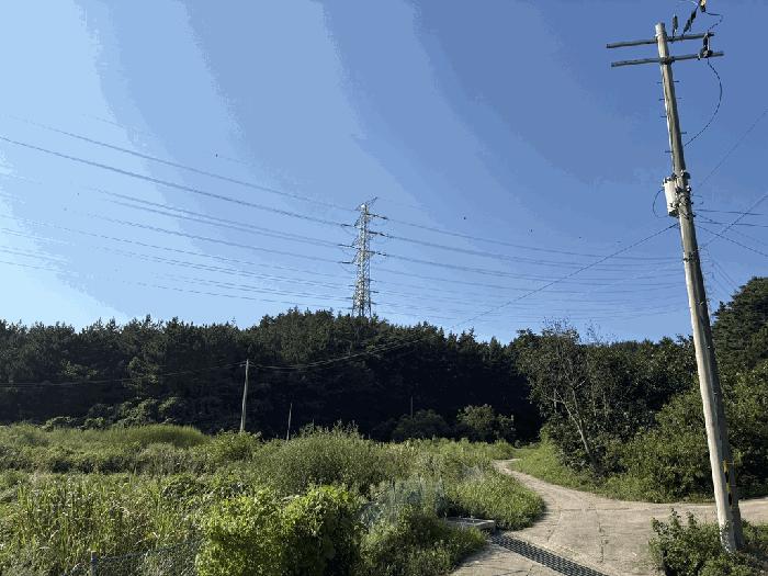 충청남도 태안군 남면 신온리 산200 임야 경매 사진 2