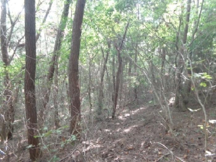충청남도 태안군 원북면 황촌리 산77 임야 경매 사진 10
