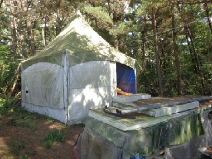 충청남도 태안군 원북면 황촌리 산77 임야 경매 사진 12