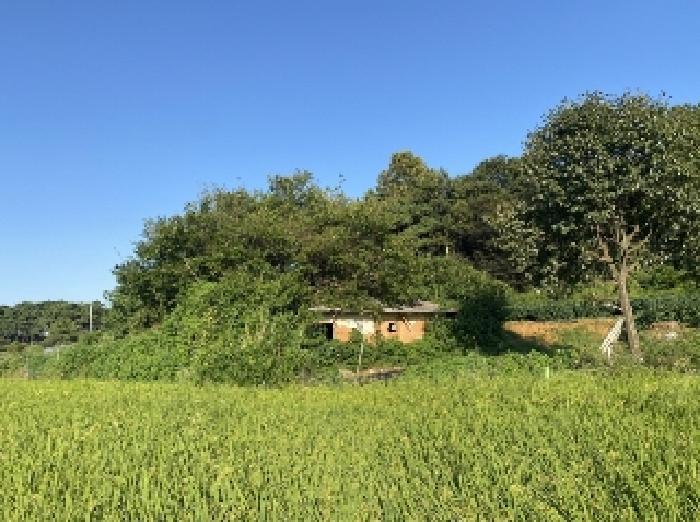 충청남도 당진시 신평면 거산리 312-13 전 경매 사진 13