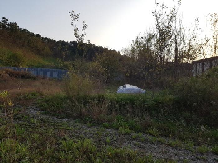 충청남도 천안시 동남구 성남면 용원리 720 대지 경매 사진 10
