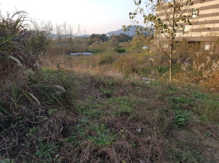 충청남도 천안시 동남구 성남면 용원리 720 대지 경매 사진 4