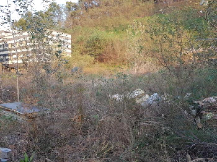 충청남도 천안시 동남구 성남면 용원리 720 대지 경매 사진 7