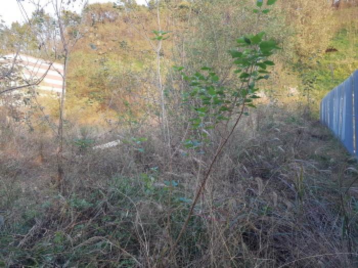 충청남도 천안시 동남구 성남면 용원리 720 대지 경매 사진 8