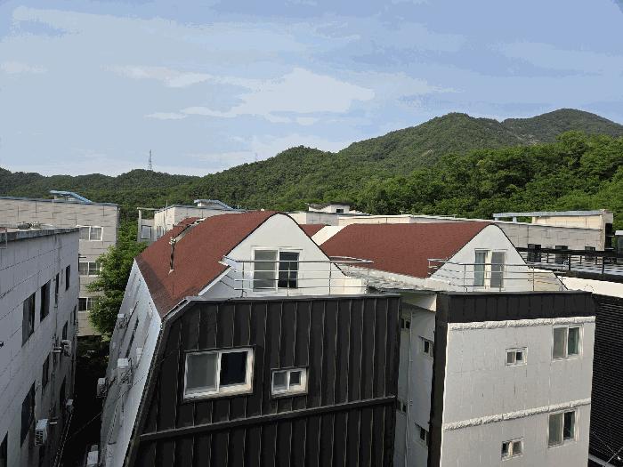 경상북도 칠곡군 석적읍 중리 226-17 다가구주택 경매 사진 5