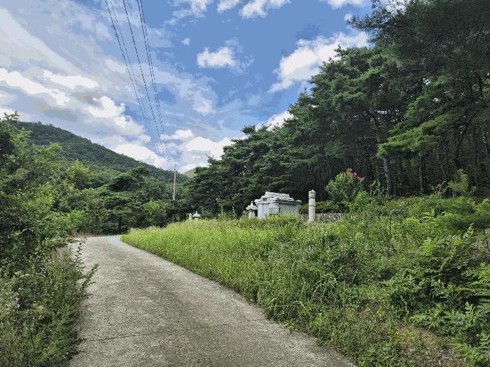 경상북도 경산시 하양읍 은호리 산36-2 임야 경매 사진 7