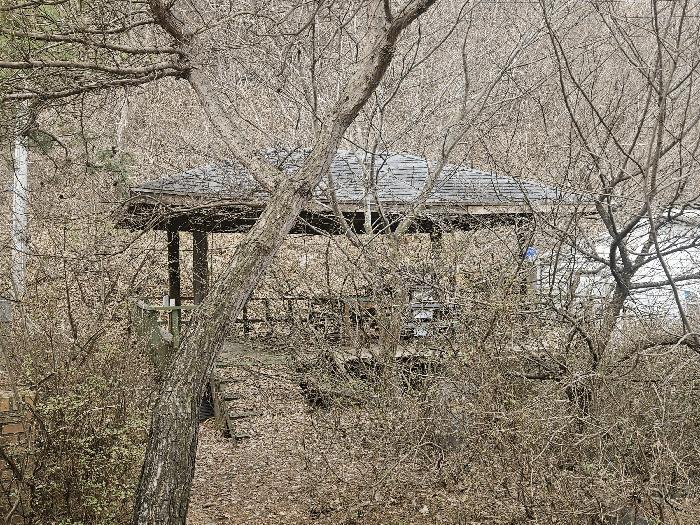 충청남도 청양군 비봉면 신원리 248-2 상가 경매 사진 13