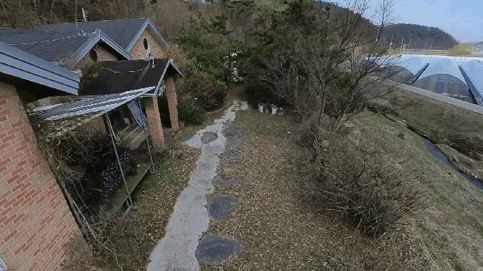 충청남도 청양군 비봉면 신원리 248-2 상가 경매 사진 6