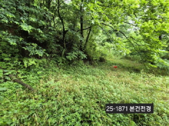 부산광역시 강서구 송정동 1019 묘지 경매 사진 3